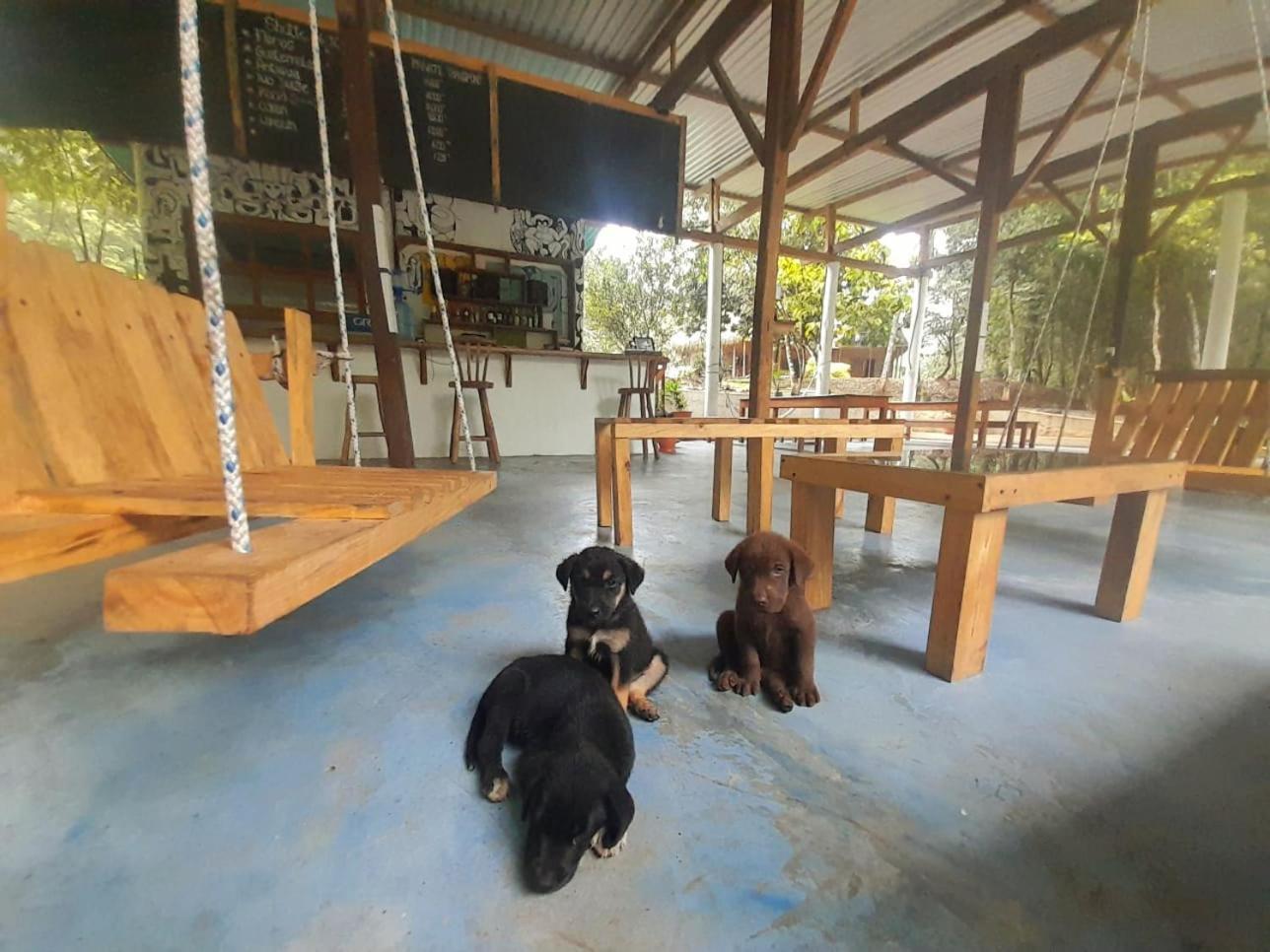 Pachamaya River Hostel ลังกิน ภายนอก รูปภาพ